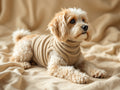 Jouet en corde renforcé chien puissant